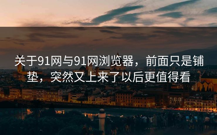 关于91网与91网浏览器，前面只是铺垫，突然又上来了以后更值得看
