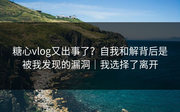 糖心vlog又出事了？自我和解背后是被我发现的漏洞｜我选择了离开