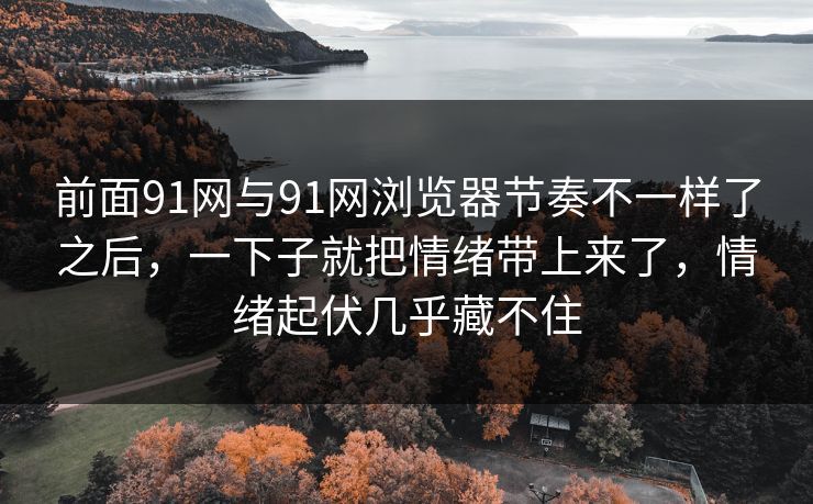 前面91网与91网浏览器节奏不一样了之后，一下子就把情绪带上来了，情绪起伏几乎藏不住