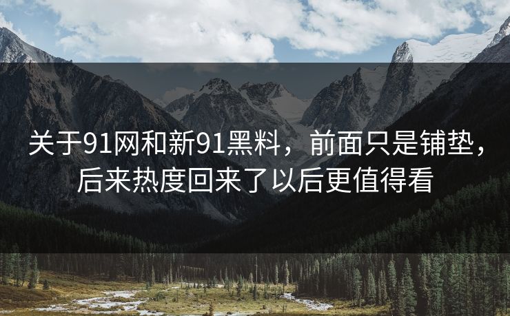 关于91网和新91黑料，前面只是铺垫，后来热度回来了以后更值得看