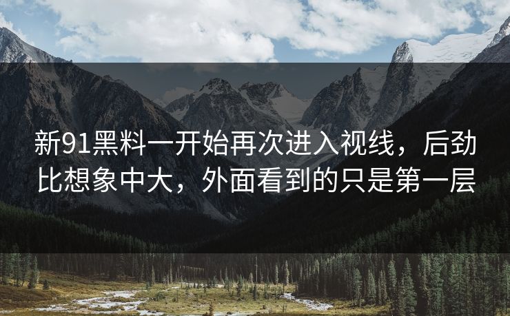新91黑料一开始再次进入视线，后劲比想象中大，外面看到的只是第一层