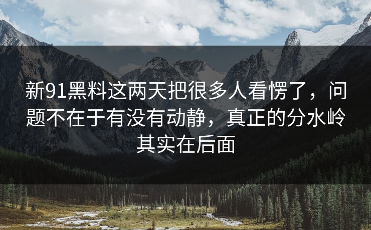 新91黑料这两天把很多人看愣了，问题不在于有没有动静，真正的分水岭其实在后面
